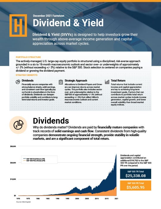 DIVVYS Factsheet