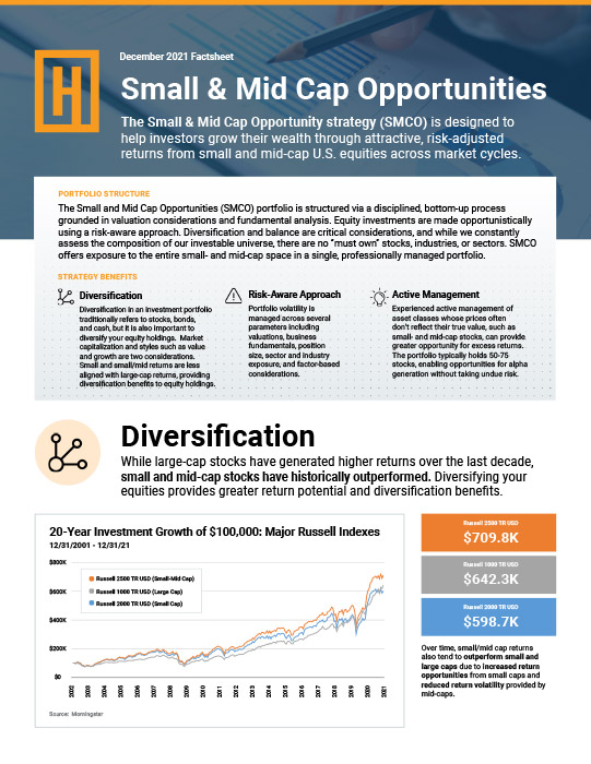 Small and Mid Cap Factsheet