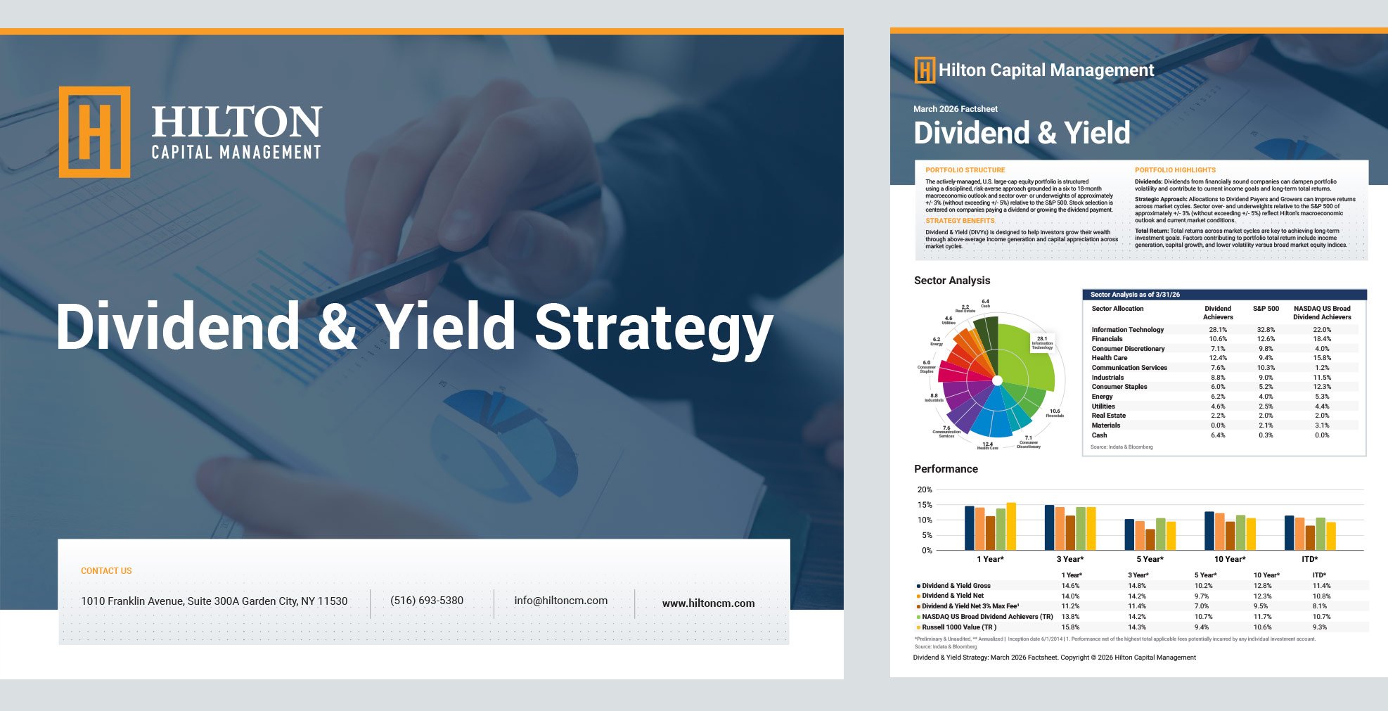 Dividend & Yield Strategy (DIVYS) thumbnail