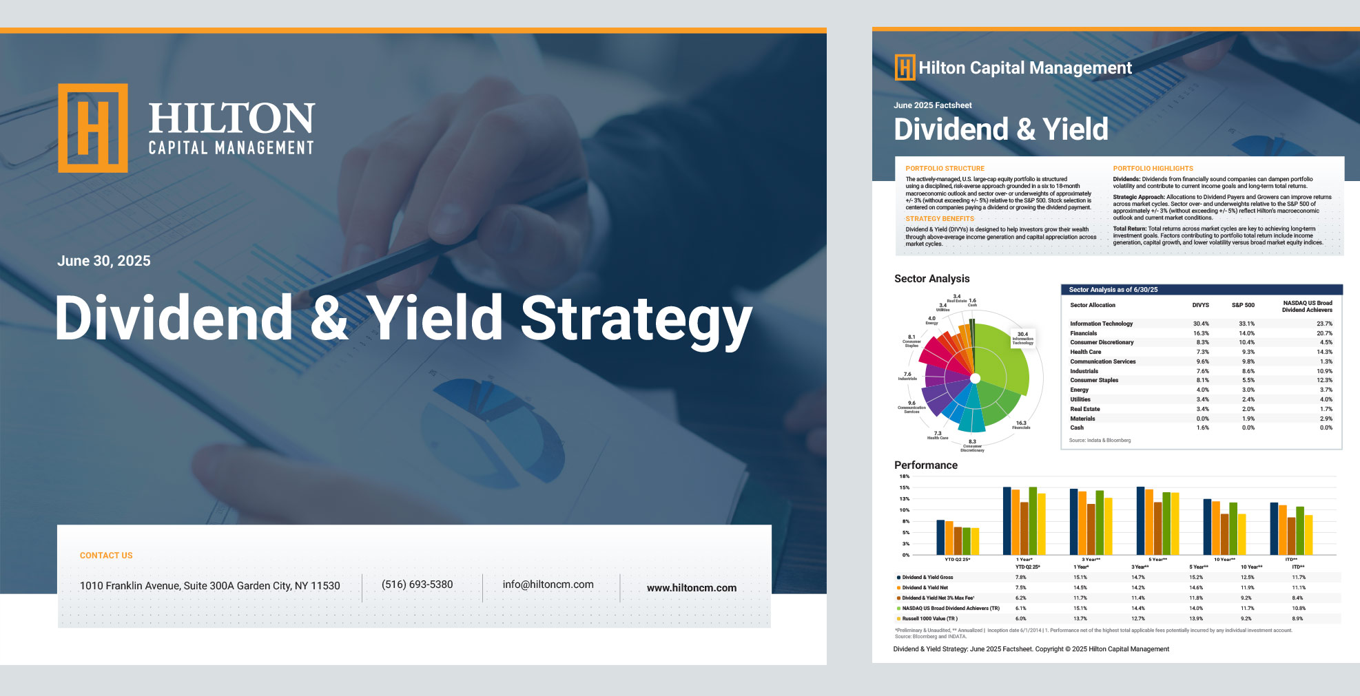 Dividend & Yield Strategy (DIVYS) thumbnail