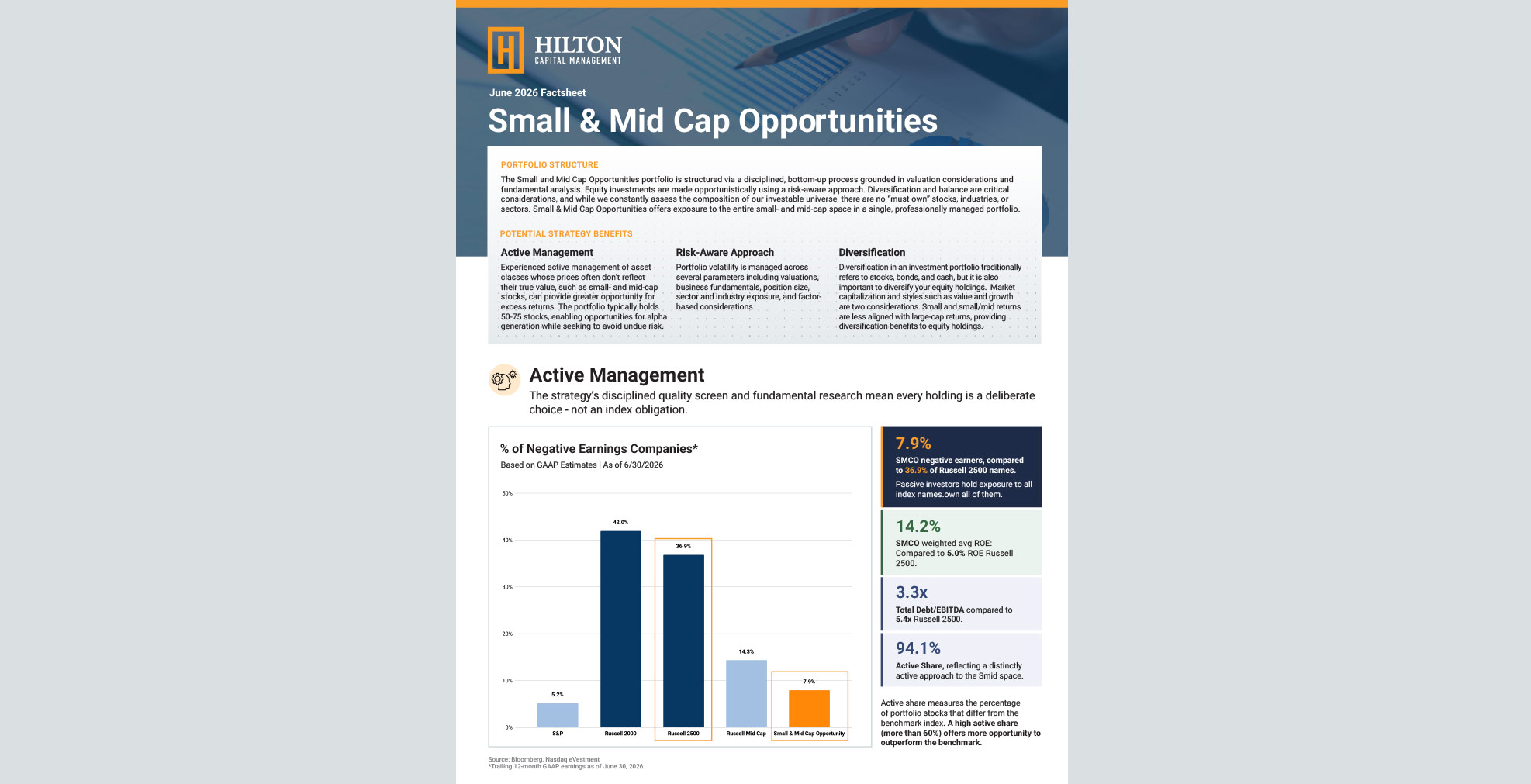 Small and Mid Cap Opportunities Strategy thumbnail